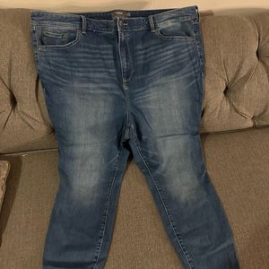 Torrid all size 24short